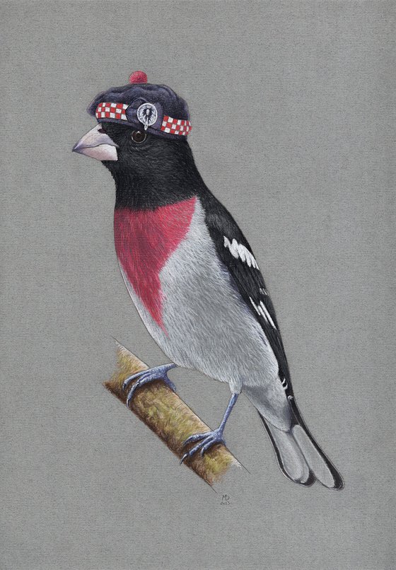 Rose-breasted grosbeak