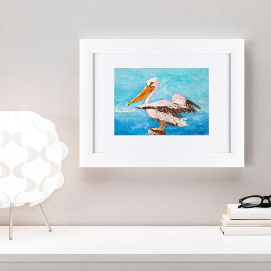 Pelican