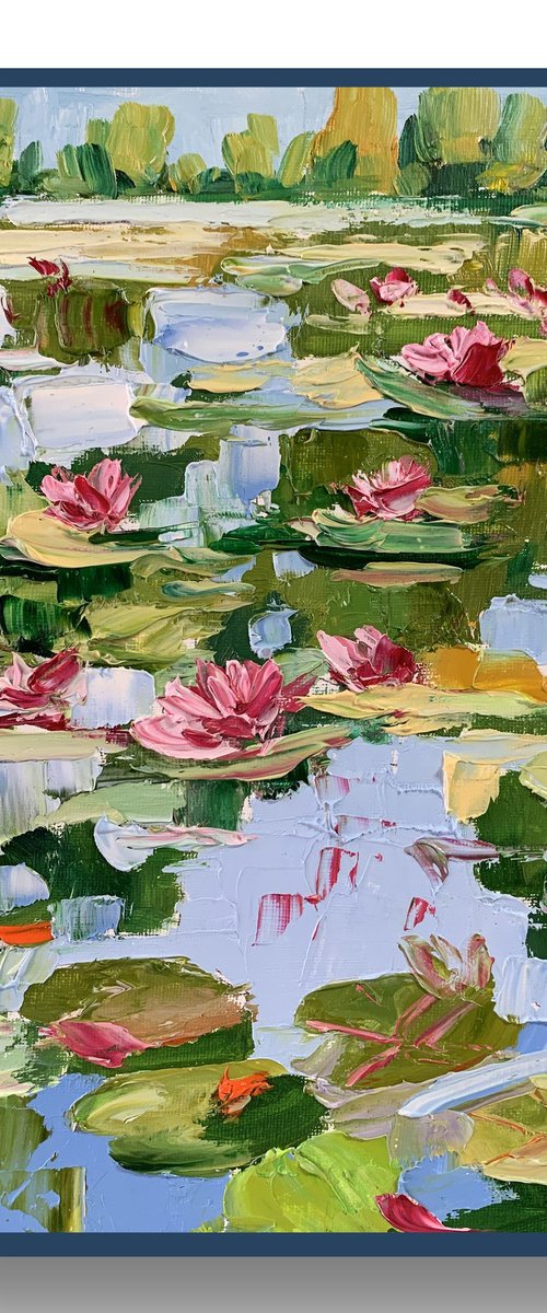 Water Lily pond. by Vita Schagen