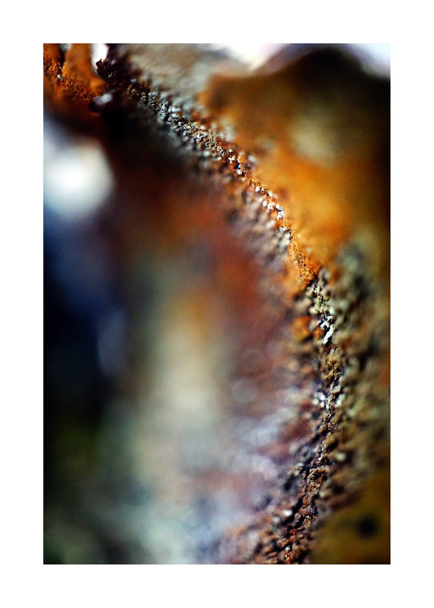 Abstract Nature Photography 157 (LIMITED EDITION OF 15) by Richard Vloemans