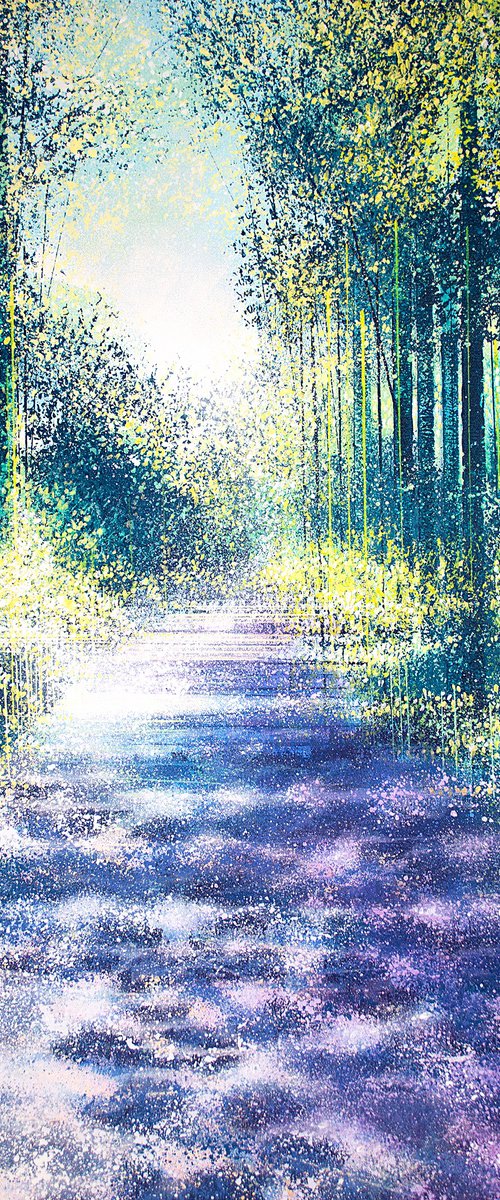 Summer Forest Path by Marc Todd