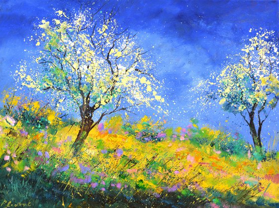 Spring in full bloom
