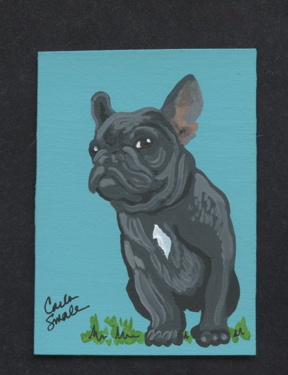 French Bulldog