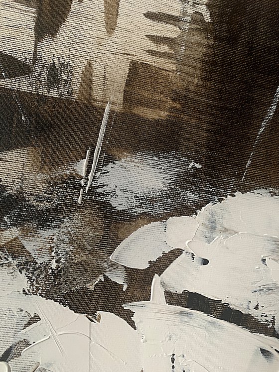 Ivory Bloom in Shadowed Light