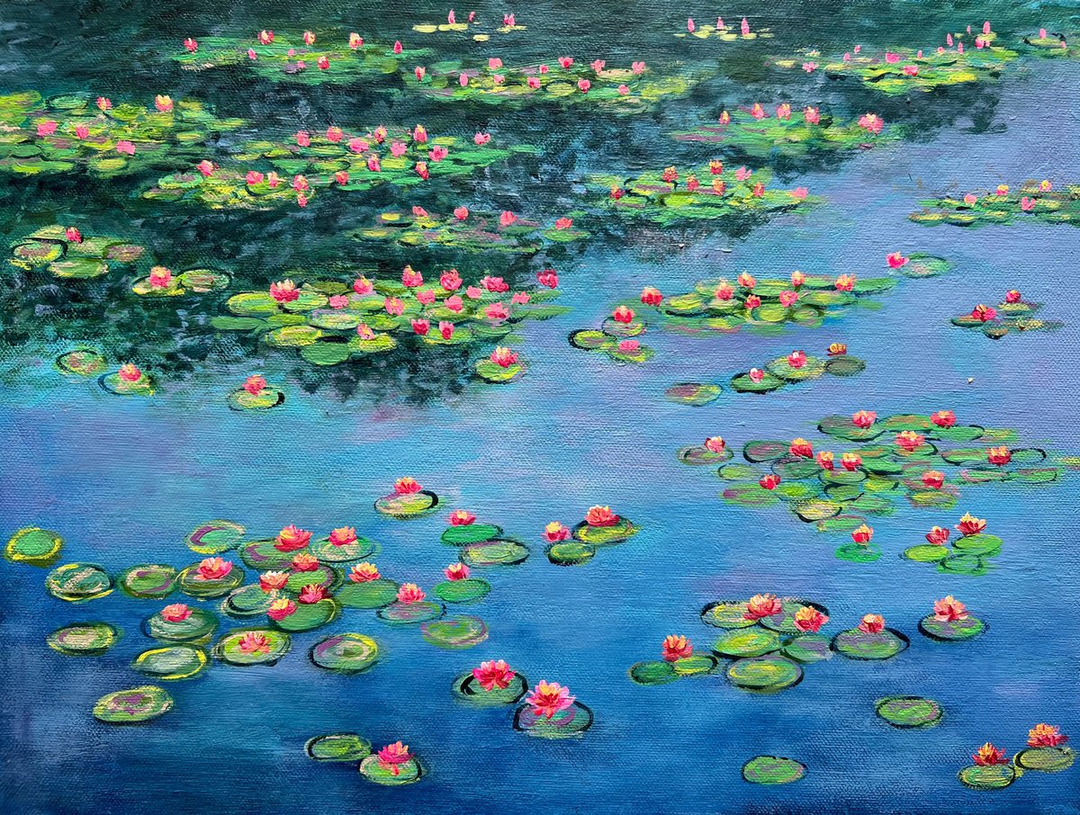 Water lilies garden by Amita Dand