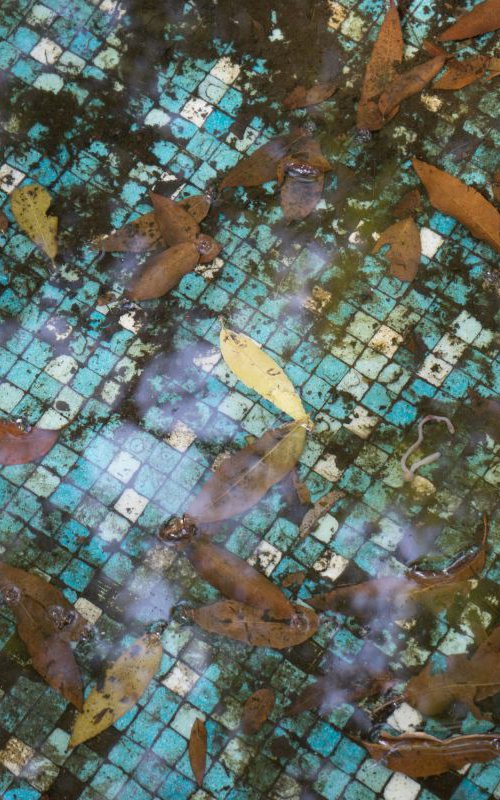 Leaves in tiled pool by James Gritz