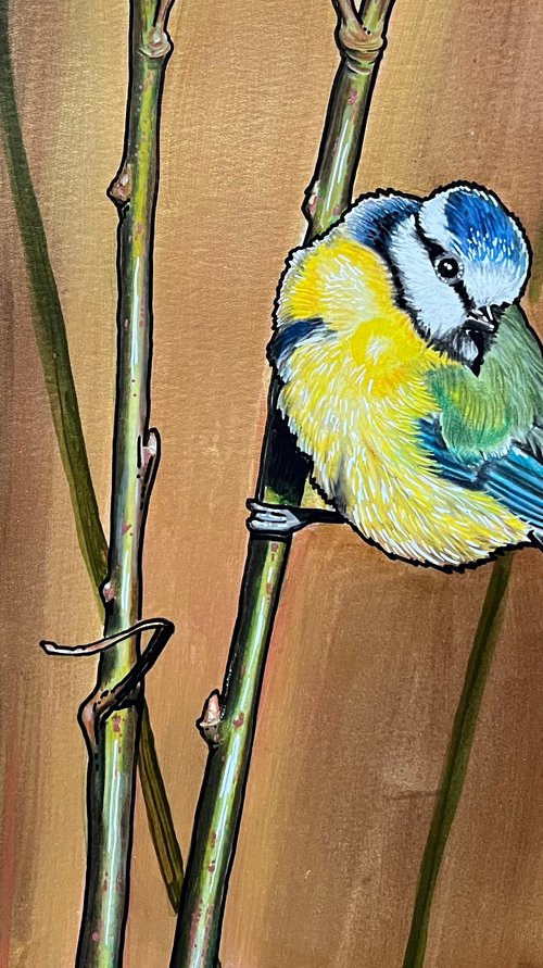 Bluetit by Karen Elaine  Evans