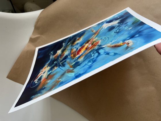 Orange Koi Fish Sunlight Water