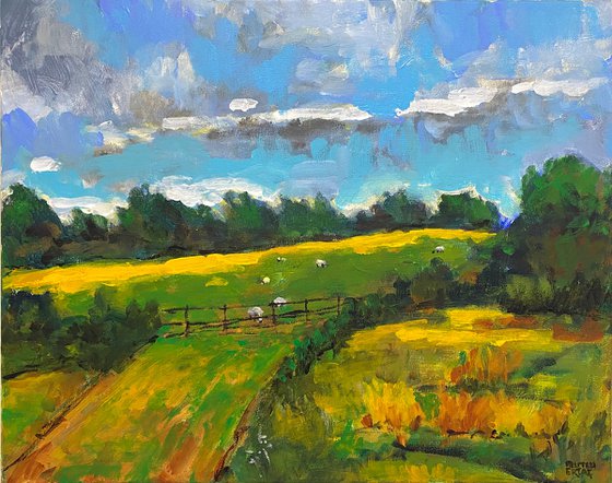 Irish Countryside