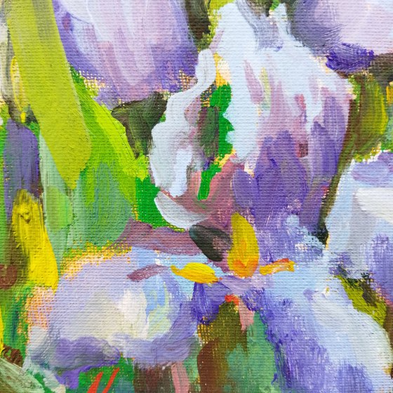 Irises