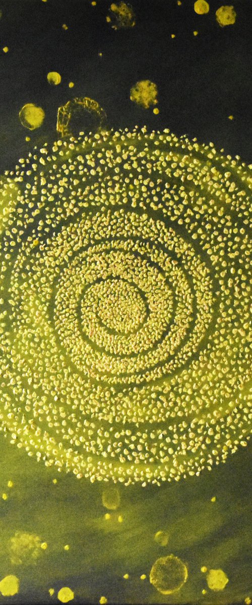 The Circle Theory - the Circles of Illuminants #1-6, 2023 by Faye zxZ
