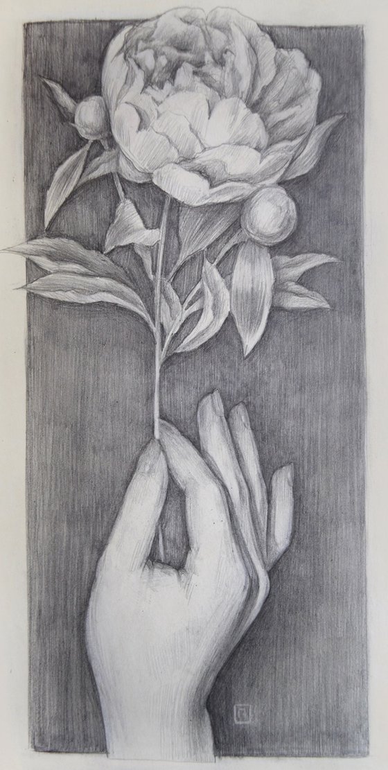 Fragility of a flower - small pencil flower drawing