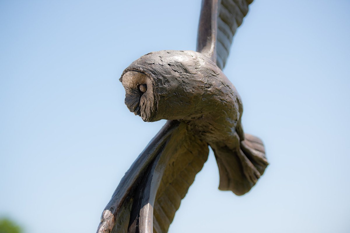 Flying Owl Bronze Resin by Tanya Russell