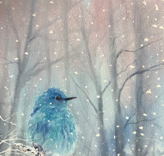 Mountain Bluebird #2