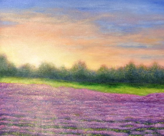 Sunrise on the lavender field