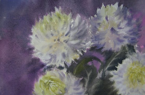 White chrysanthemums