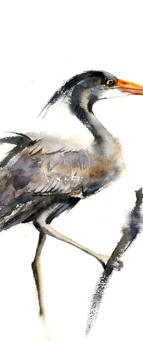 Grey Heron - Original watercolor painting by Olga Tchefranov (Shefranov)