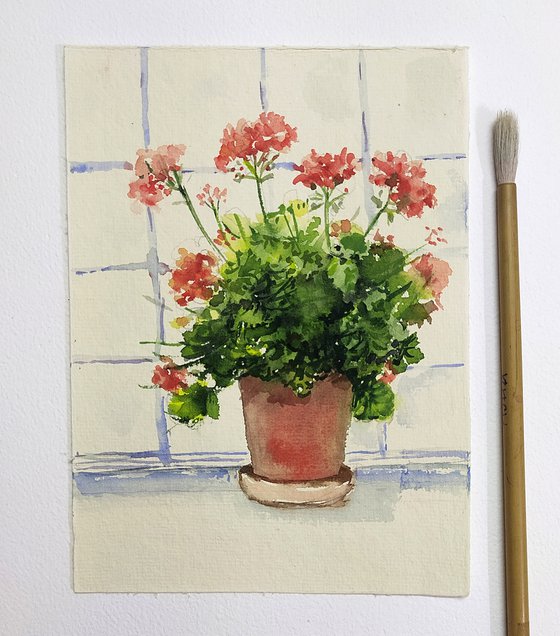 Geraniums by the window