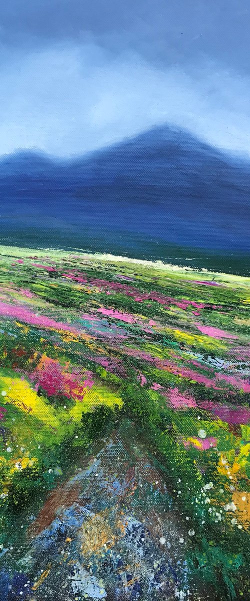 Walking On Dartmoor by Laure Bury