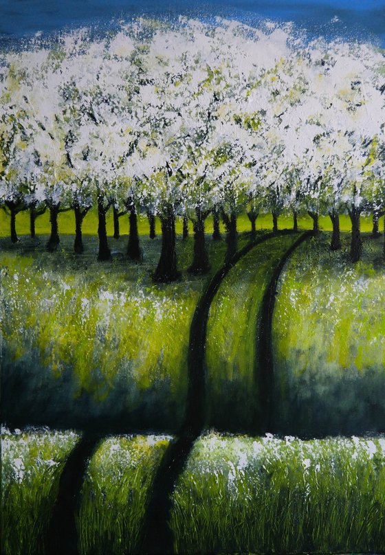 Cherry  Trees