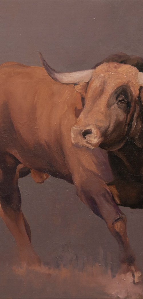 Tierra by Zil Hoque