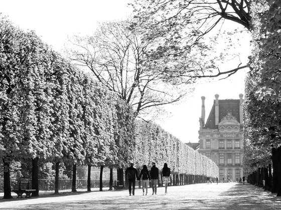 Jardin des Tuileries