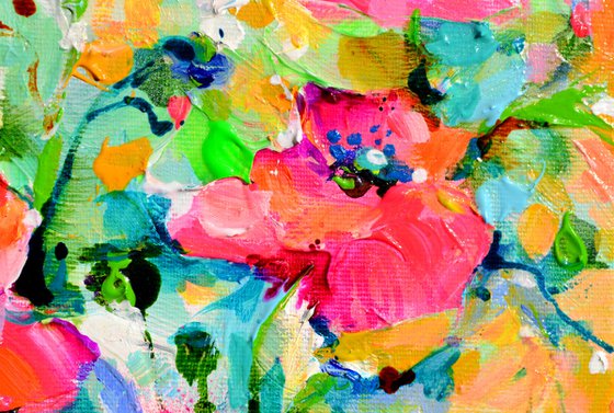 Red Opium Poppy Field