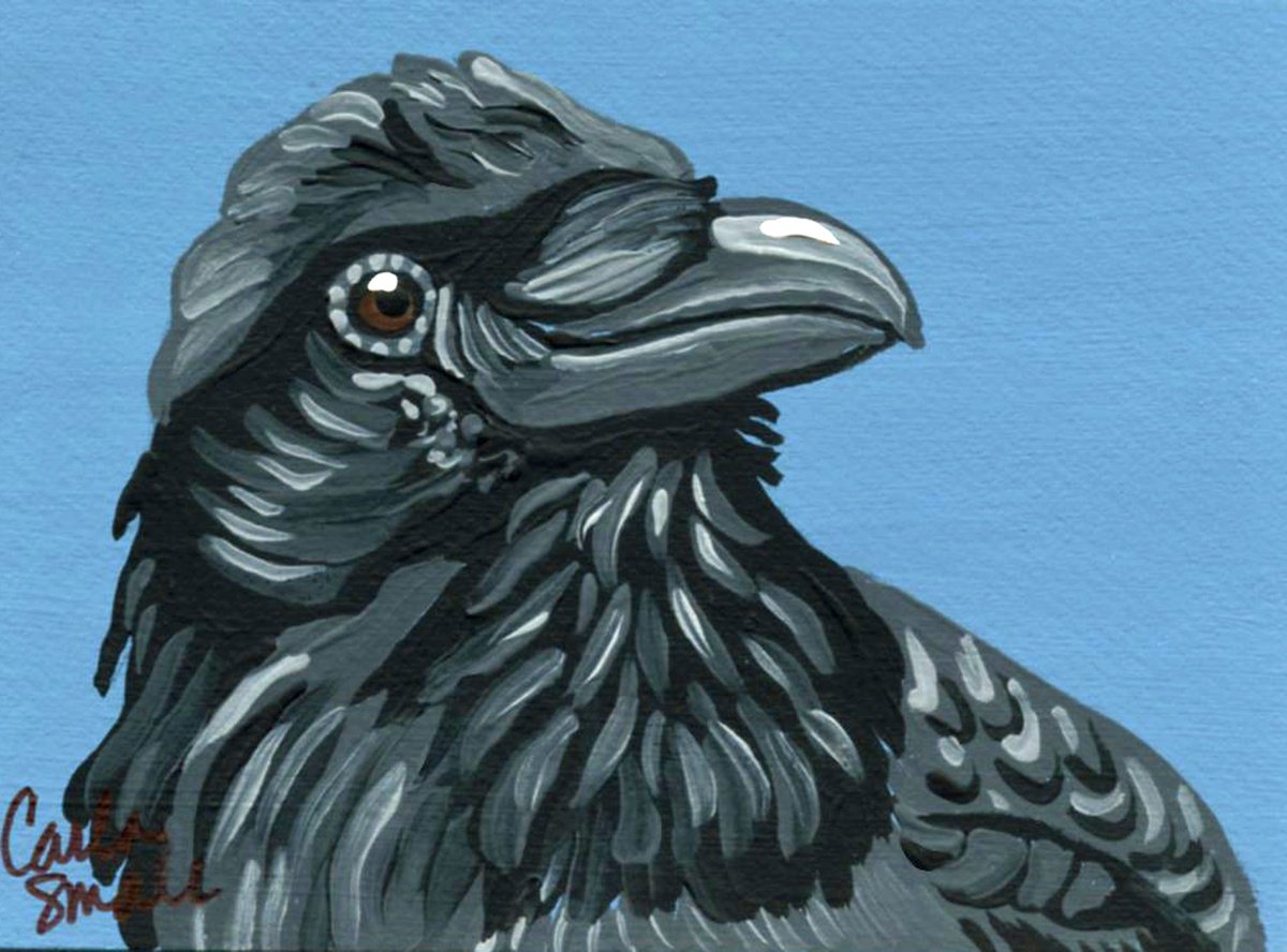 Crow Raven by Carla Smale
