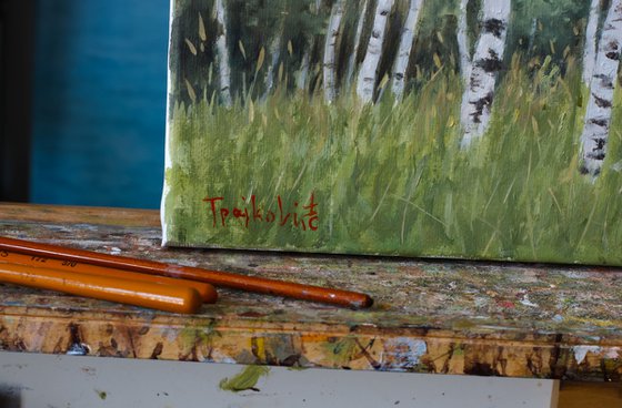 Birch Forest