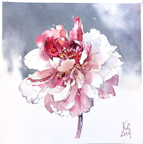 Fantasy flower "Peony on a gray background" original botanical watercolor square format by Ksenia Selianko