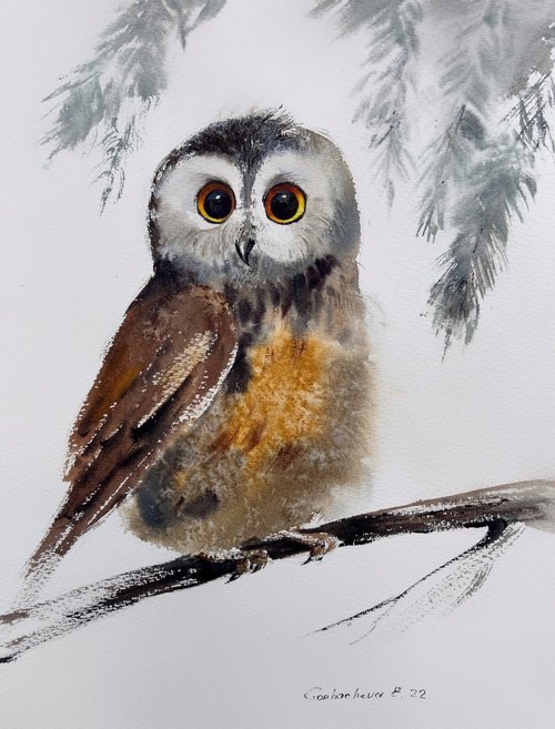 Little owl on a branch #8 by Eugenia Gorbacheva