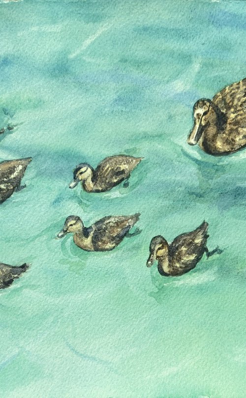 Let's explore by Krystyna Szczepanowski