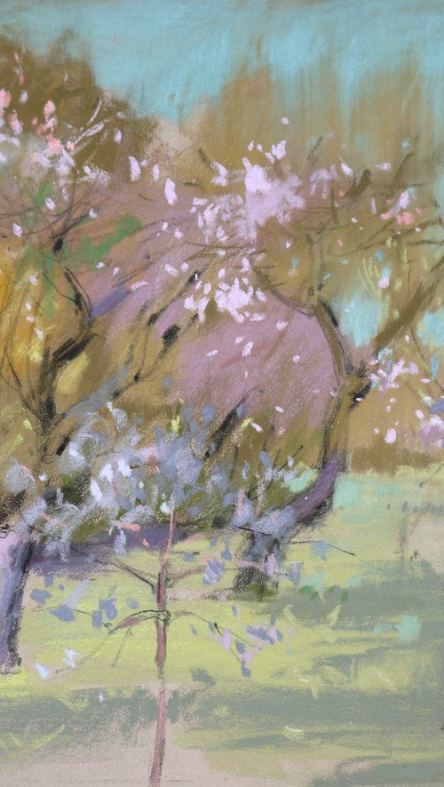 In a blossoming park by Victoria Ramanovich