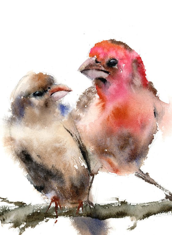 Two purple finches