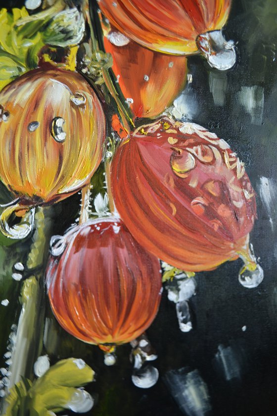 Gooseberry Lanterns