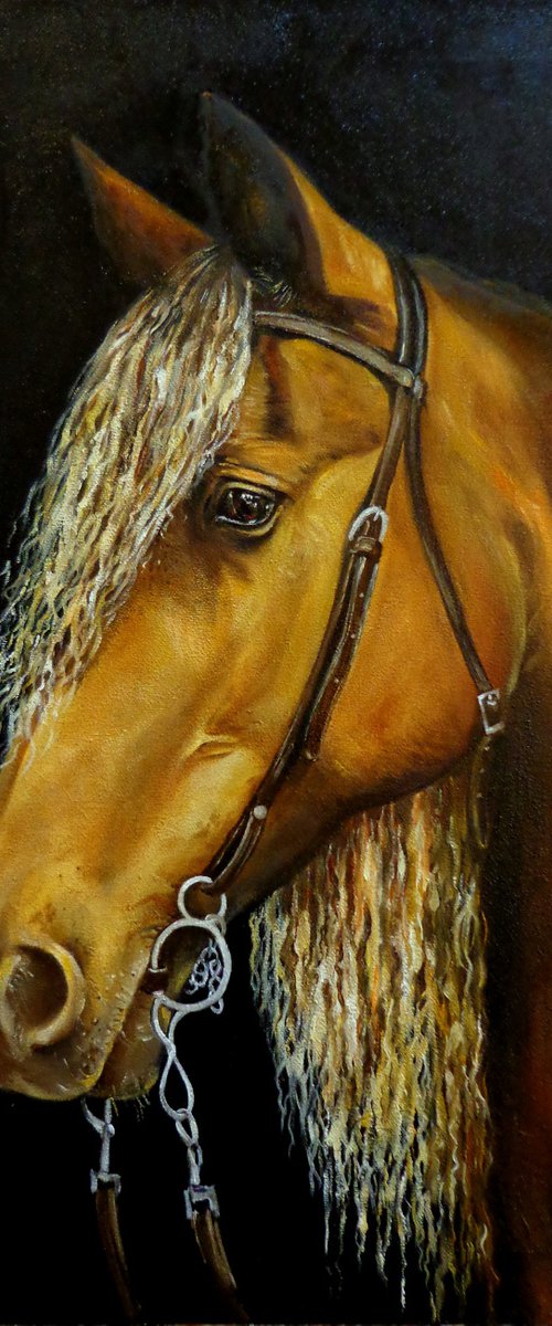 Horse - portrait by Anna Rita Angiolelli