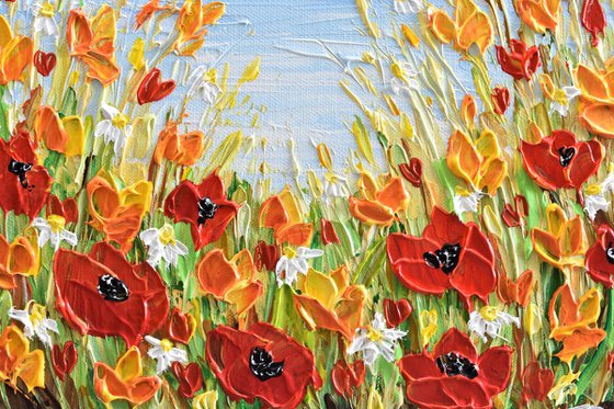 Autumn Poppies and Daisies