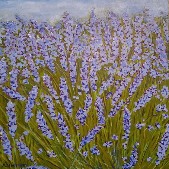 "The soul of Provence". Lavender.