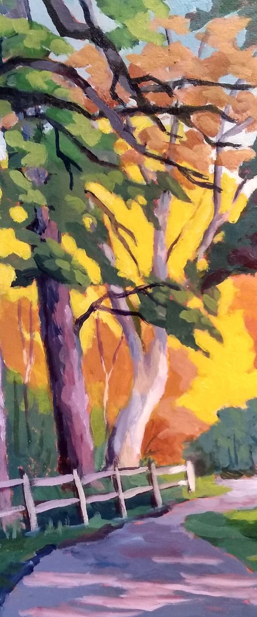 A Walk in the Park by Edward  Abela