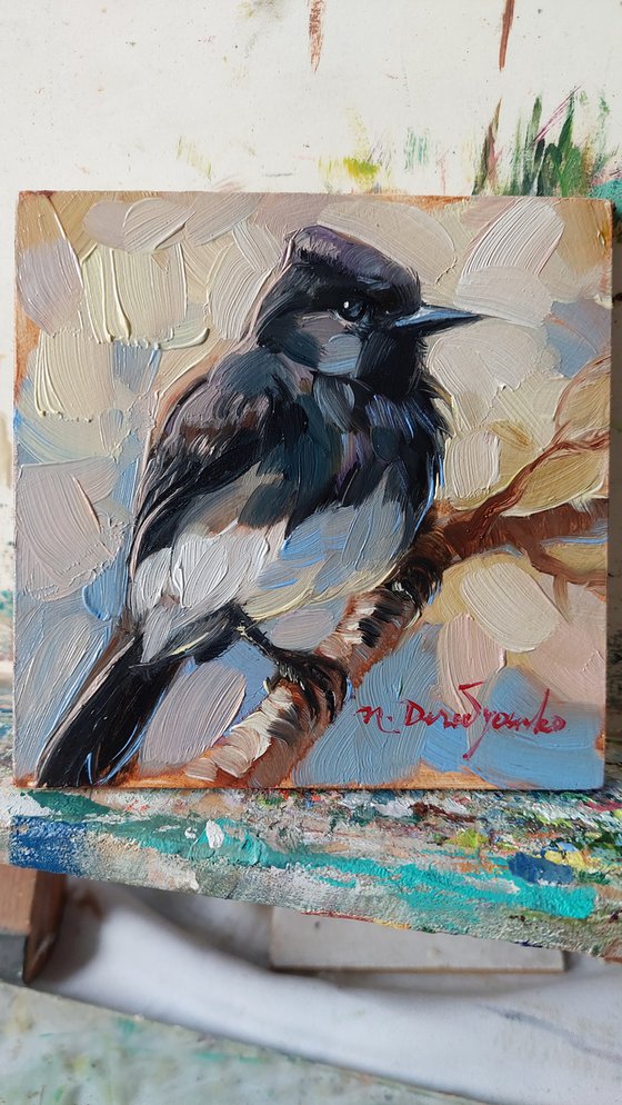 ORIGINAL mini oil painting Black Phoebe on branch bird wall art, Small bird art framed artwork shelf decor