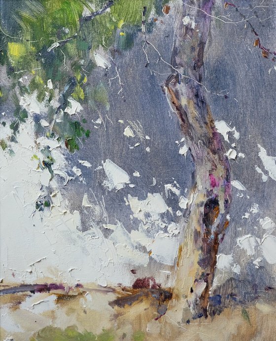 apple tree. shadow (2020)