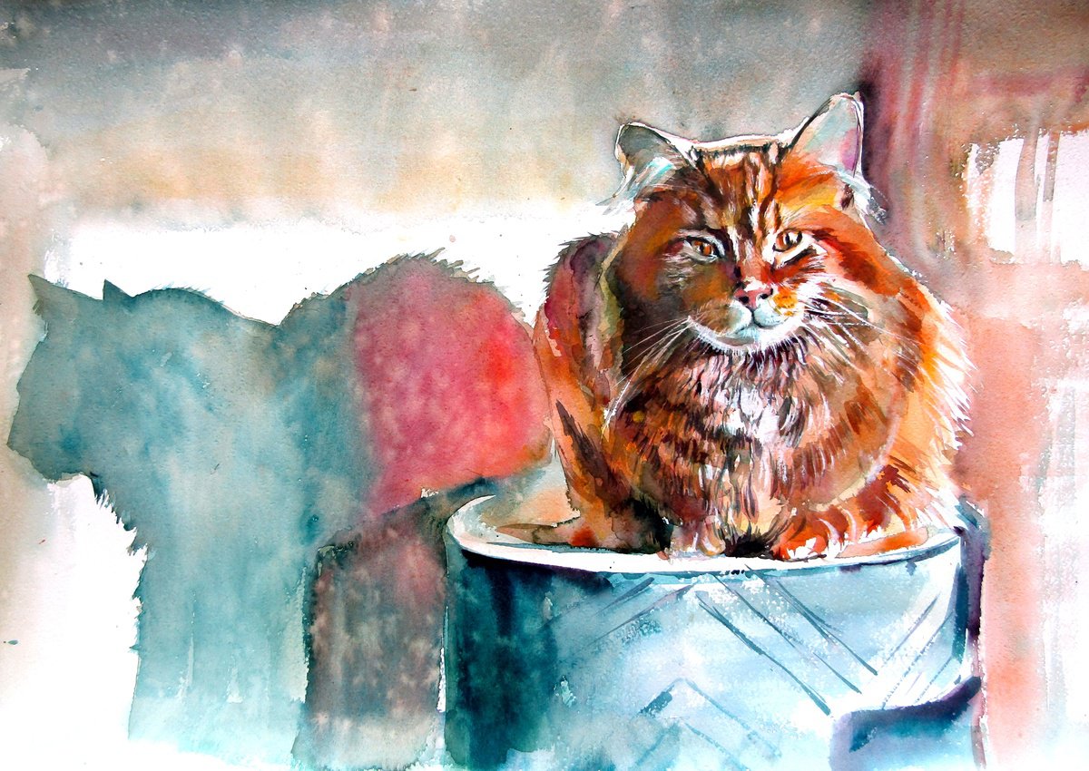 Impressionistic Watercolour , Cat Resting At Light By Kovacs Anna Brigitta, 28 X 20, Artwork For Sale On Artfinder