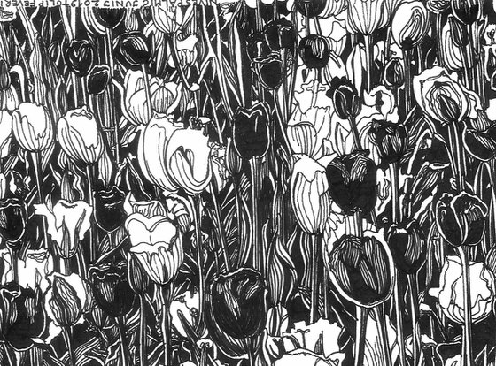 TULIP FEVER II Ink Drawings Series