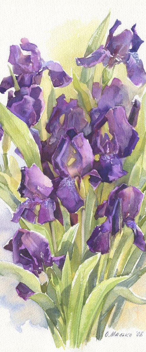 Small violet irises / ORIGINAL watercolor 11x15in (28x38cm) by Olha Malko
