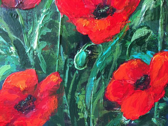 Red Poppies