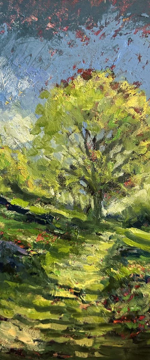 Brilliant summer by Clare Hoath