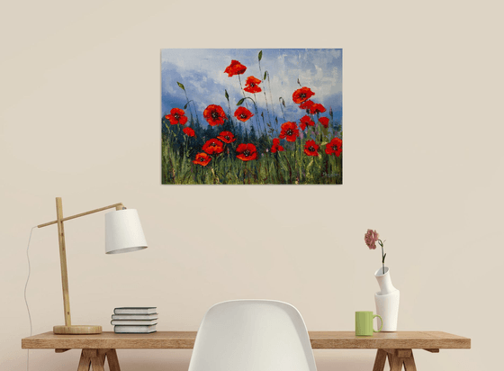 Red flowers , poppies