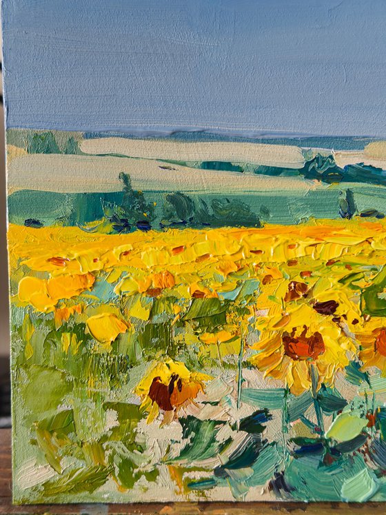 Sunflower Field