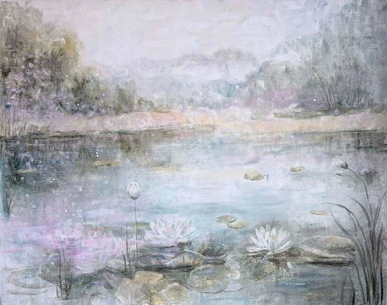 Water Lilies in Morning Mist