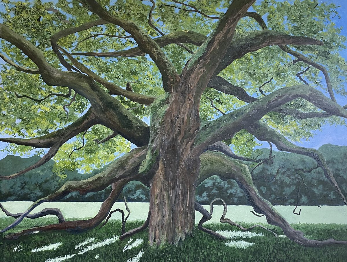 Photorealistic Landscape Acrylic Painting By Anne Shaughnessy, 40 X 30, Dance Of The Mighty Oak, Original Artwork